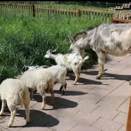 Just4you; Modern, 6p. Huis Genieten In De Natuur.